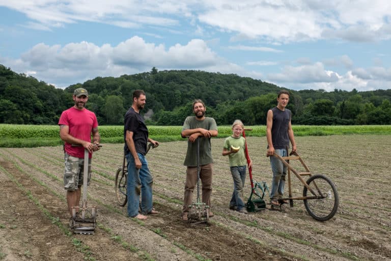 Volunteer on Organic Farms